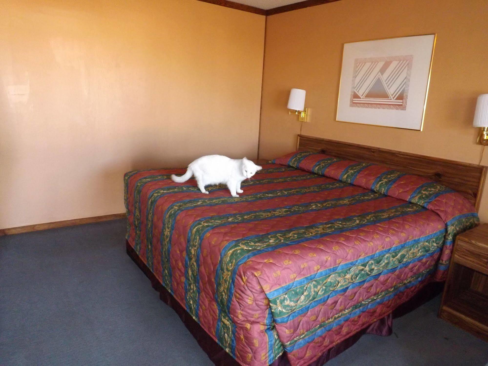 Tristar Inn Xpress ทูคัมคารี ภายนอก รูปภาพ